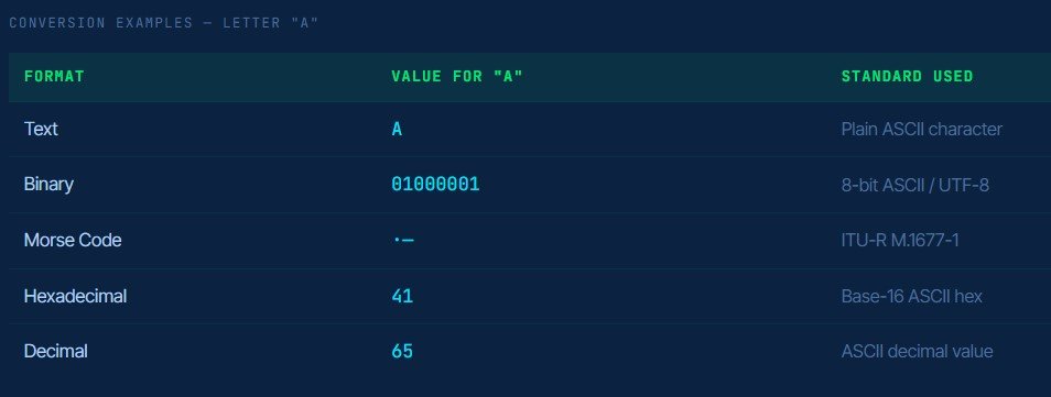 Binary Code Translator - All 5 Input & Output Formats